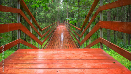 Fototapeta Naklejka Na Ścianę i Meble -  Wooden bridge over a ravine in a forest on a rainy summer day