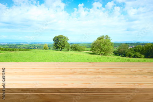 Fototapeta Naklejka Na Ścianę i Meble -  Empty wooden table over summer meadow background