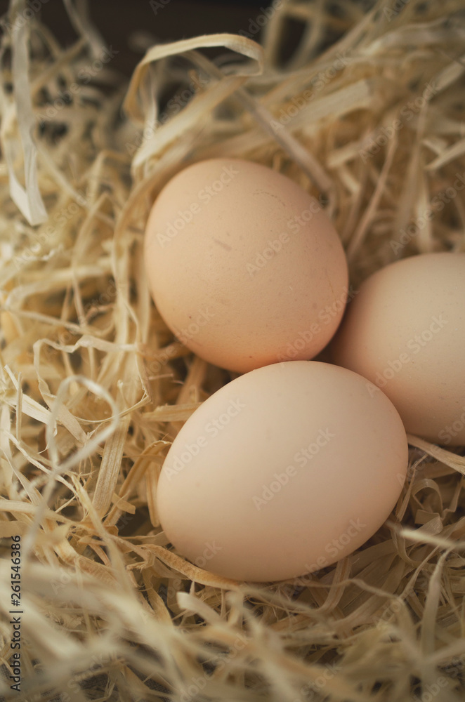 Organic easter eggs Organic easter eggs