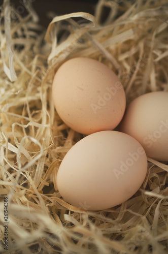 Organic easter eggs