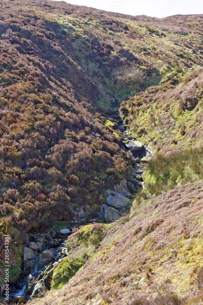 Springtime view of the stream in the mountains of Snowdonia. Springtime view of the stream in the mountains of Snowdonia.