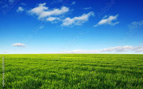 Green field and blue sky © Alekss