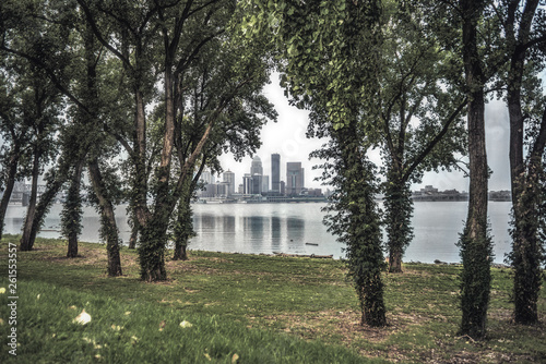 Louisville, Kentucky through trees