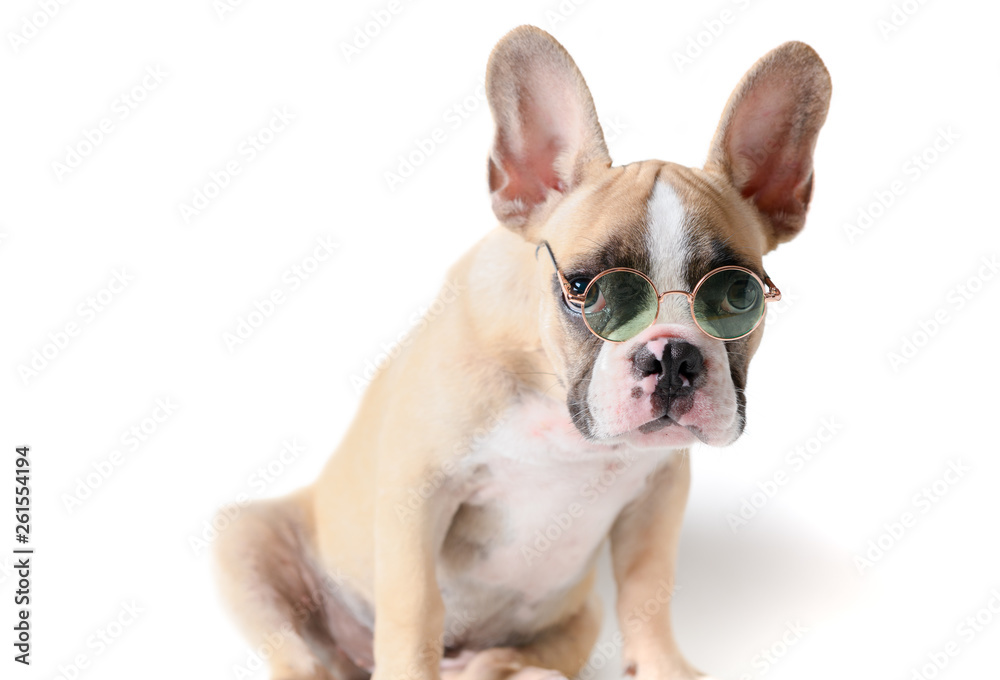 Cute french bulldog wear sunglass and doubt isolated