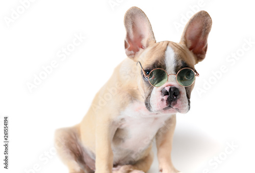 Cute french bulldog wear sunglass and doubt isolated © kwanchaichaiudom