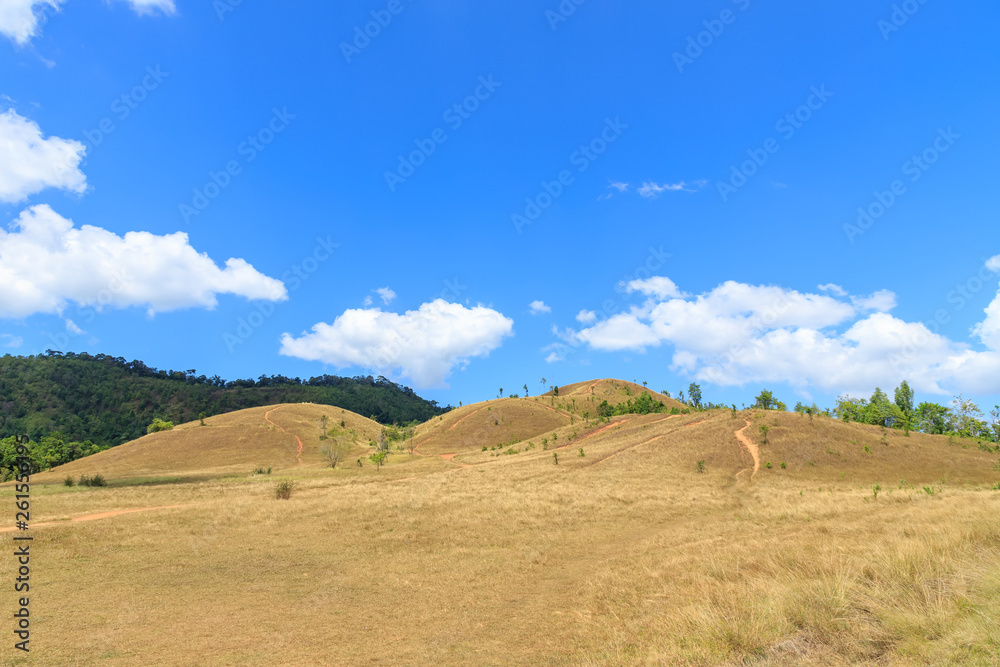 Goldne grass or bald hill mountain, scenic park in Ranong, Thailand