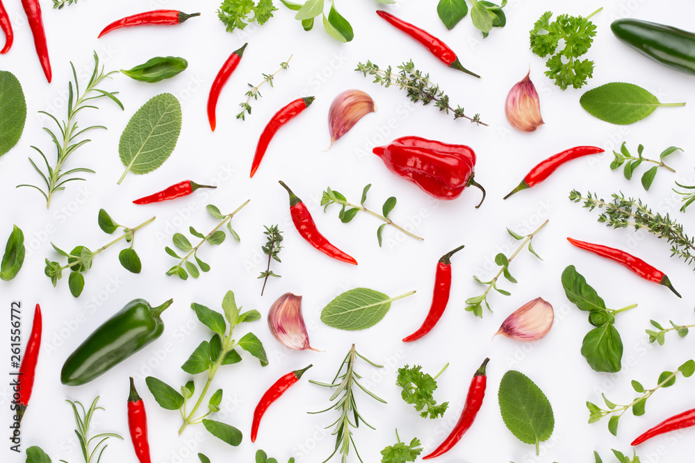 Spice herbal leaves and chili pepper on white background. Vegetables pattern. Floral and vegetables on white background. Top view, flat lay. Spice herbal leaves and chili pepper on white background. Vegetables pattern. Floral and vegetables on white background. Top view, flat lay.