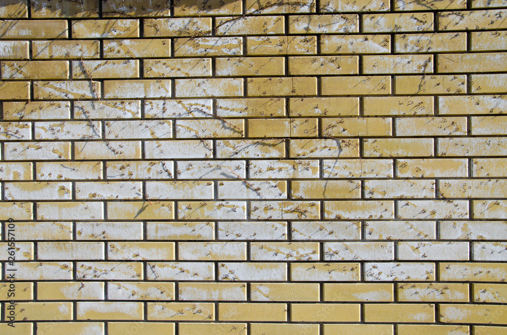 Fototapeta premium Beautiful macro texture of stones, corrosion, wood home objects. Bright textures, bright colors.