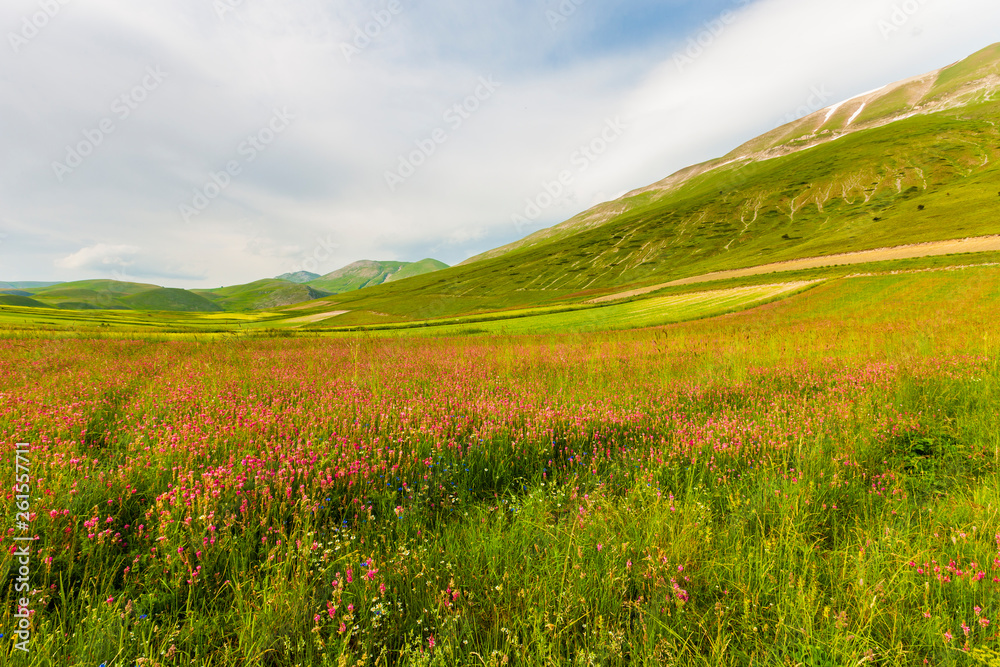 Plans Castelluccio in Italy