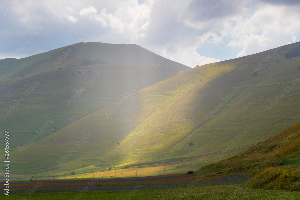 Plans Castelluccio in Italy Plans Castelluccio in Italy