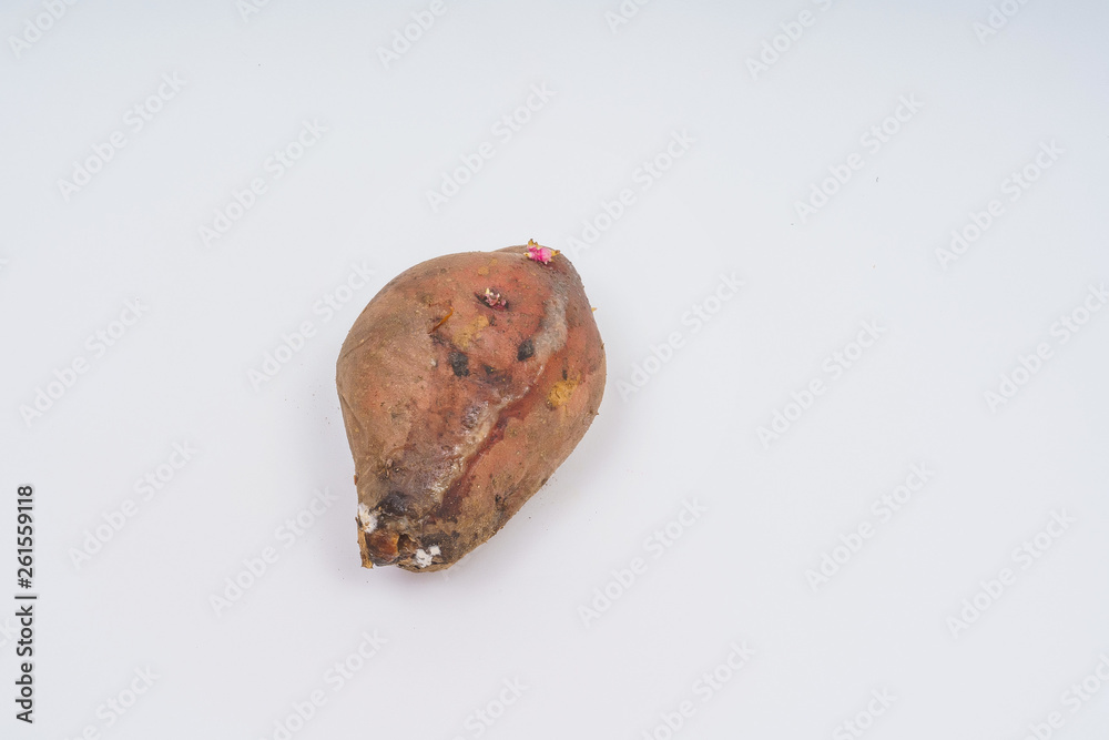 Fungus with molds on the surface of old potatoes. Spoiled potato tuber ...