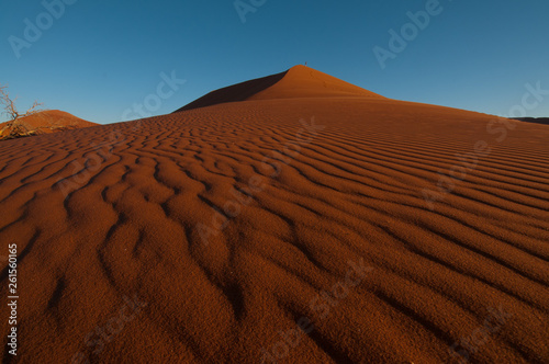 Ripples on the sand dune