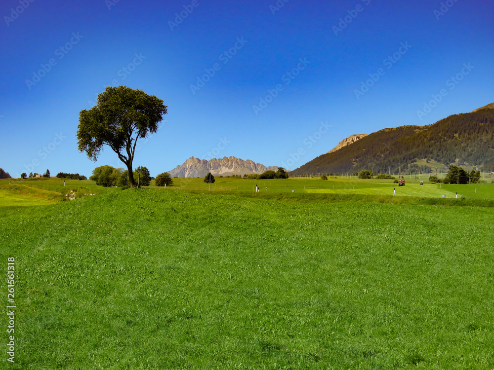 Obraz premium Südtirol