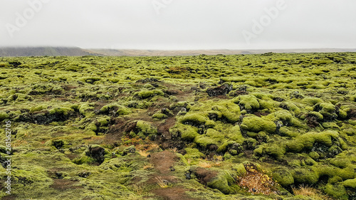 A lava field, lava plain or so called lava bed. Endless field of lava overgrown with green moss. In the back some mountains are appearing among the thick mist.