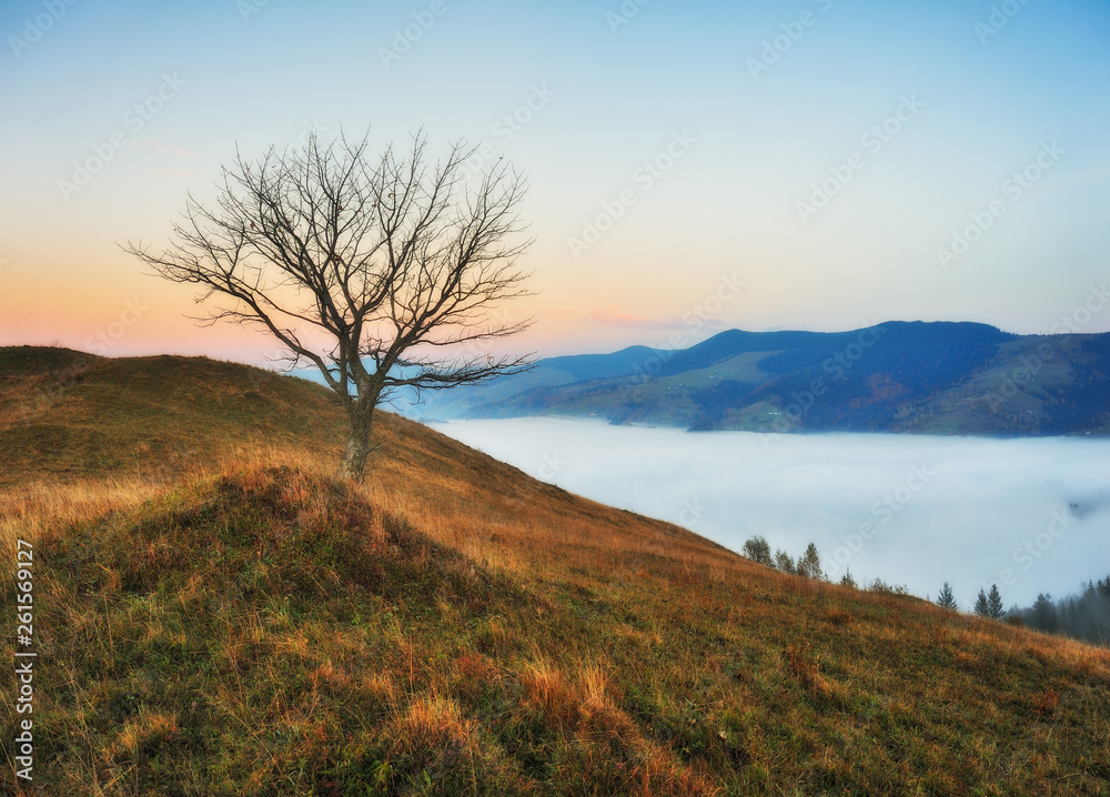 autumn sunrise in the Carpathian mountains. foggy morning. scenic dawn autumn sunrise in the Carpathian mountains. foggy morning. scenic dawn