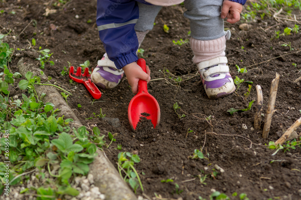Fototapeta premium Small girl exploring the garden and helping with spring cleaning.