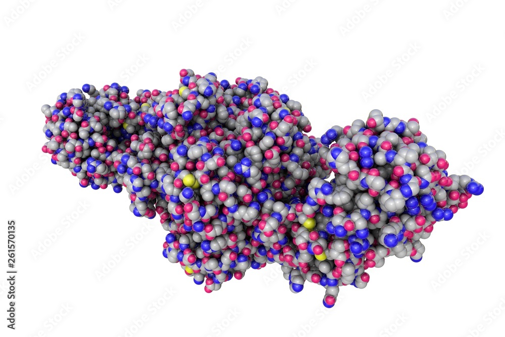 Molecular structure of shiga toxin. Atoms are represented as spheres with conventional color coding: sulfur (yellow), carbon (grey), oxygen (red), nitrogen (blue). 3d illustration Molecular structure of shiga toxin. Atoms are represented as spheres with conventional color coding: sulfur (yellow), carbon (grey), oxygen (red), nitrogen (blue). 3d illustration