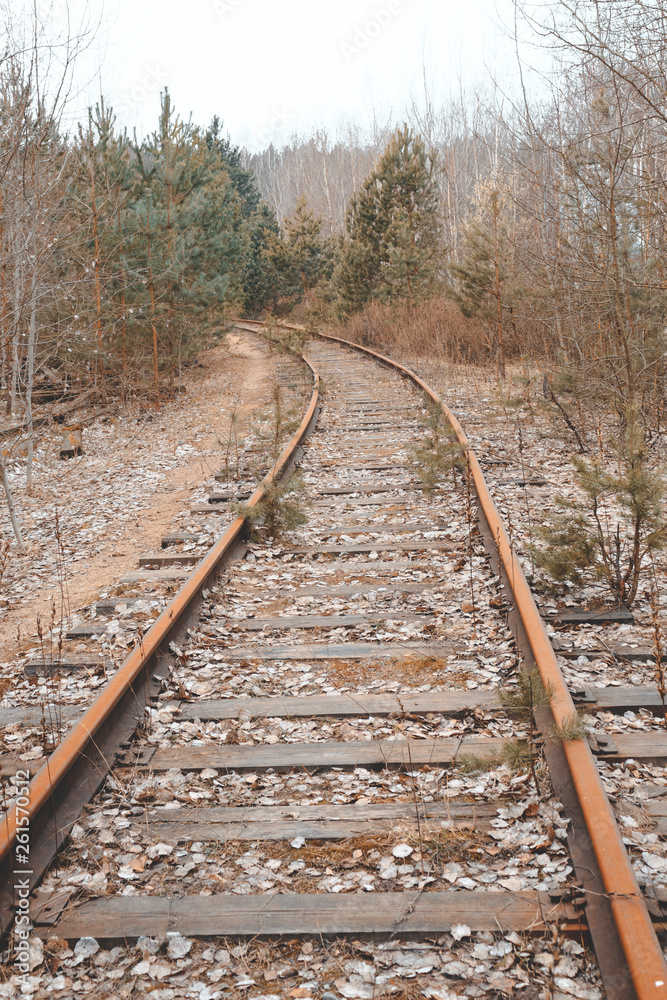 Fototapeta premium Railway. wooden sleepers. retro. she is overgrown with grass. didn't go train.