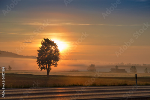 Fototapeta Naklejka Na Ścianę i Meble -  Morning dawning sun over hazy field and country road
