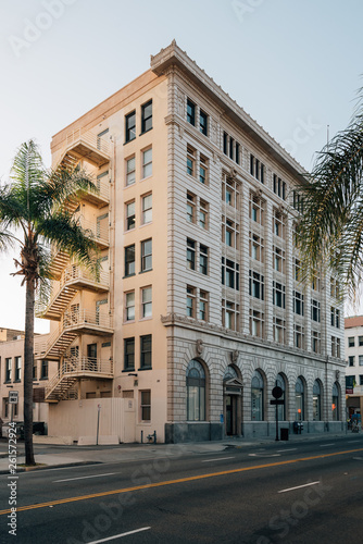 Historic building in downtown Santa Ana, California © jonbilous