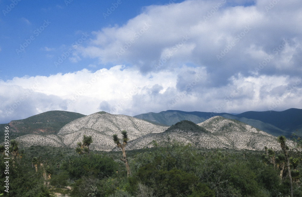 Landschaft in Mexico