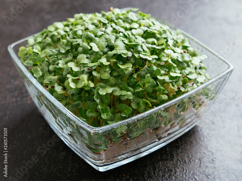 Foto Broccoli Raab (Brassica rapa var. cymosa) sprouts