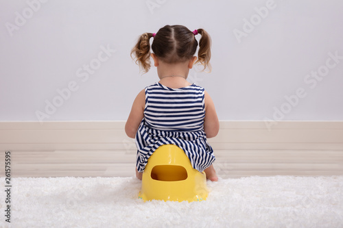 Female Toddler Sitting On A Potty Pot photo