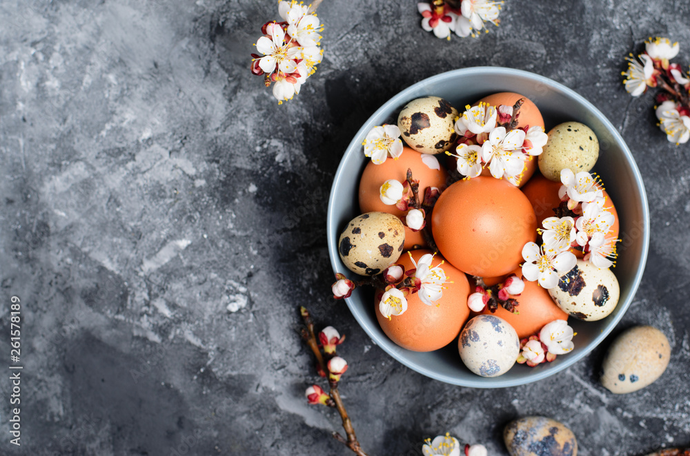 Eggs and Branches in Blossom, Easter Holiday Background Eggs and Branches in Blossom, Easter Holiday Background