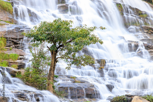 Tree on waterfall background  Mae Ya Waterfall  Doi Inthanon  Chiang Mai  Thailand