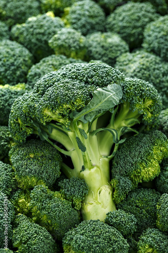 Healthy Fresh Green raw Broccoli. background, texture.