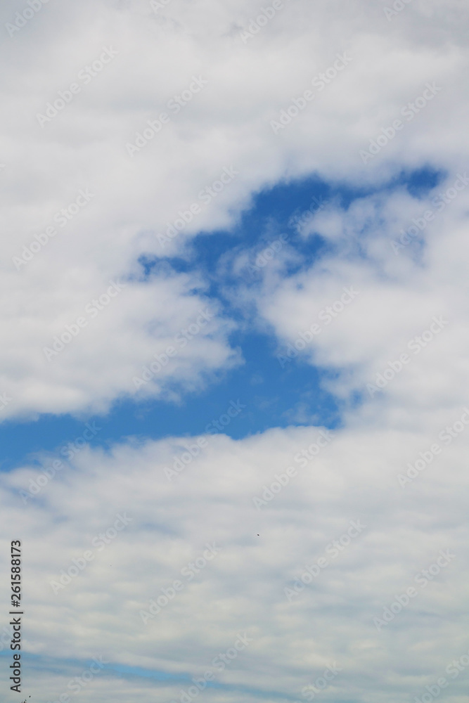 Obraz premium Beautiful clouds - feathers against the blue sky, consecrated by the sun, background for design.