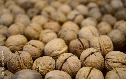 A good harvest of walnuts