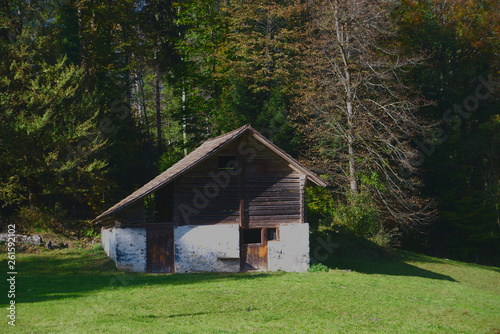 An old farm stable on the edge of the forest