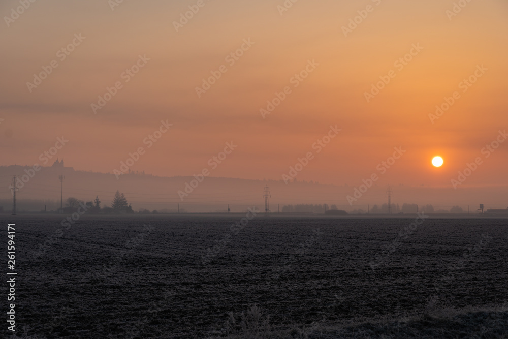 the sun rises above the suburbs and portrays the silhouettes of buildings and tree. Path and birchs