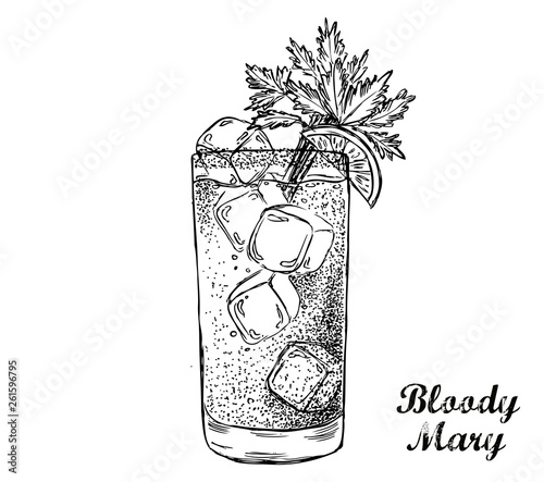 Bloody Mary cocktail hand drawn. photo