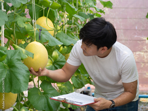 young happy Asia havesting product on his farm. photo