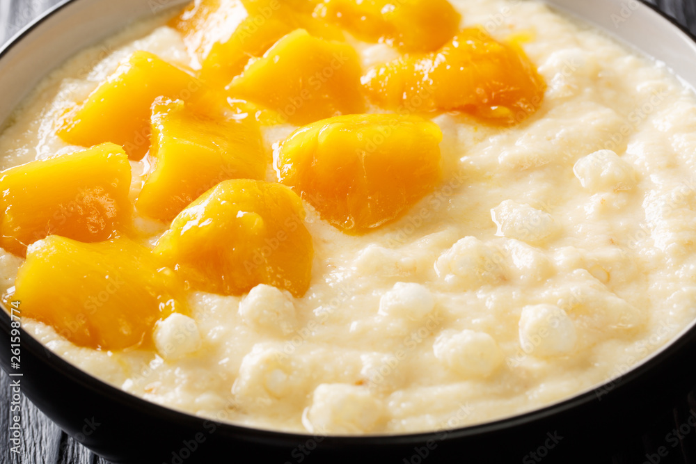 Vegetarian tapioca pudding with coconut milk and fresh mango close-up in a bowl. horizontal Vegetarian tapioca pudding with coconut milk and fresh mango close-up in a bowl. horizontal