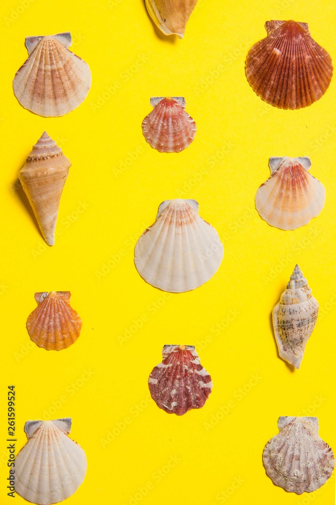 Yellow bright background with nautical decor Yellow bright background with nautical decor