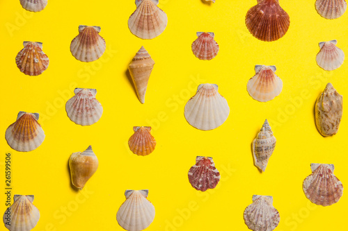 Yellow bright background with nautical decor