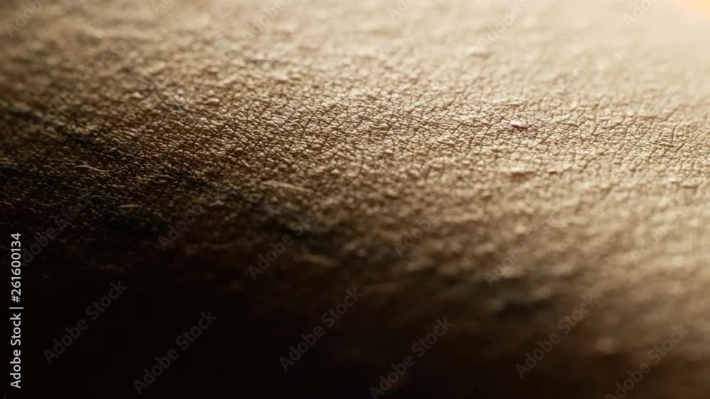 Extreme macro of nearly hairless human skin texture with unrecognizable tattoo, moving focus, asian woman mid 20s