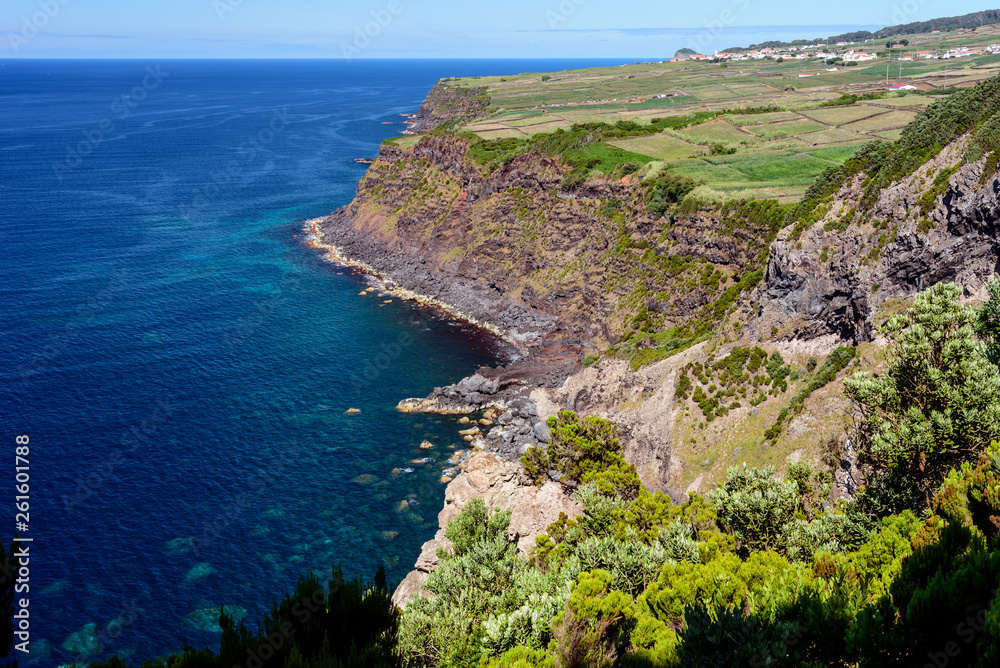 seascape with cliff  in terceria, view of the coastline in terceira with high cliff. seascape in azores, portugal