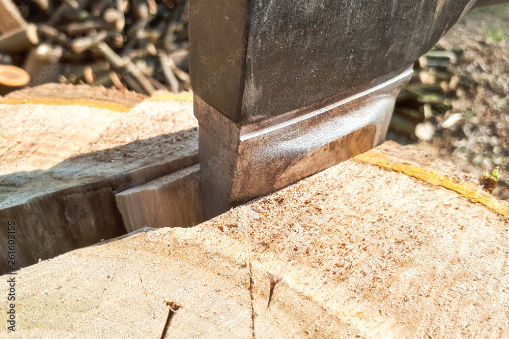 Strong lumberjack chopping wood, Strong lumberjack chopping wood,