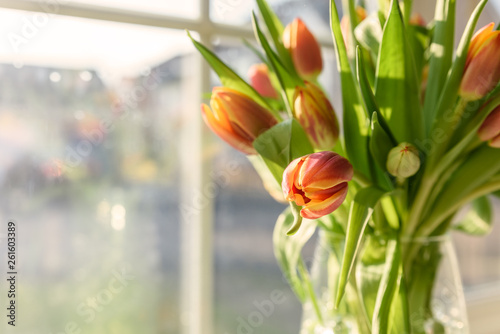 Tulips in a vase