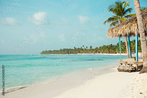 tropical nature, the Caribbean Sea, palm trees, the island, the Dominican Republic, boats.