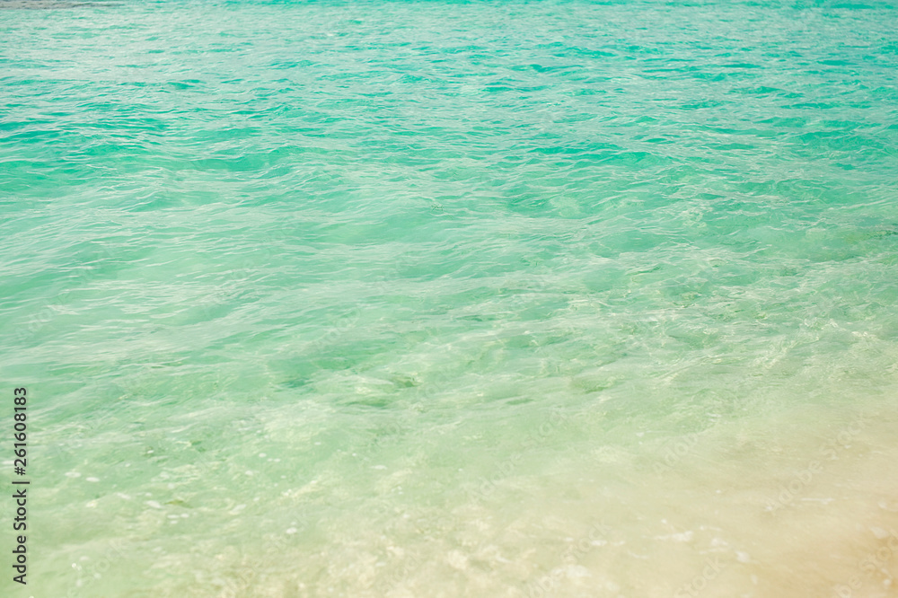 tropical nature, the Caribbean Sea, palm trees, the island, the Dominican Republic, boats. tropical nature, the Caribbean Sea, palm trees, the island, the Dominican Republic, boats.