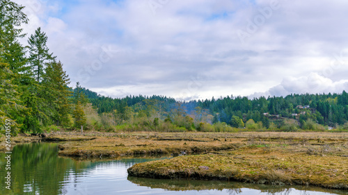 Beautiful Tidelands Puget Sound
