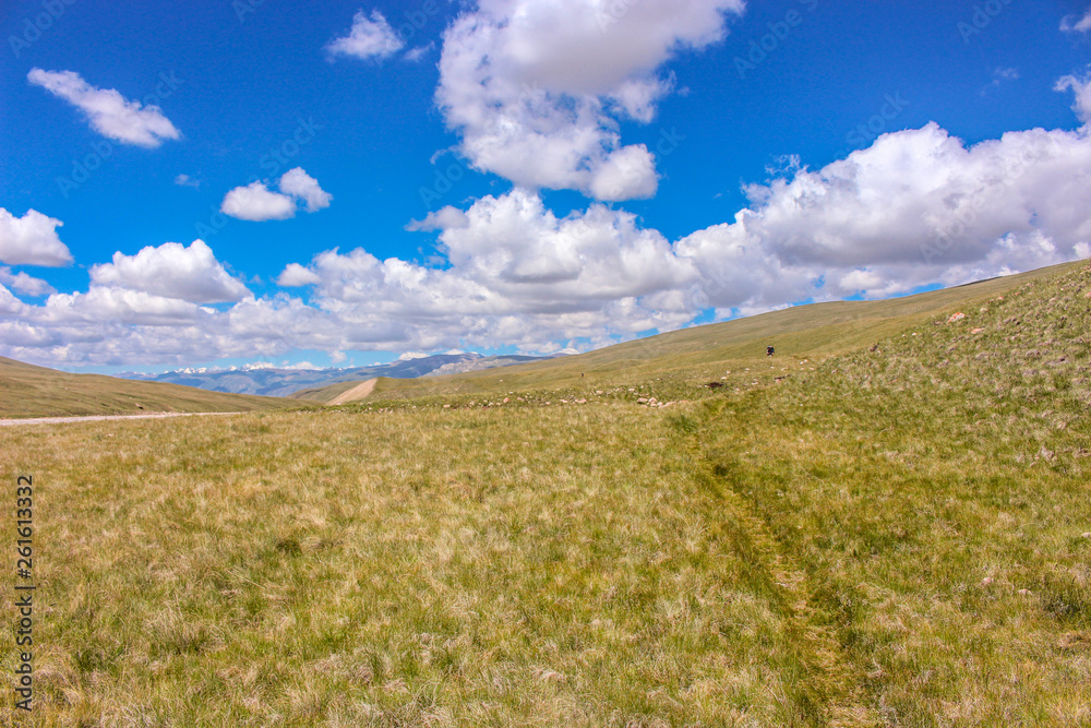 The steppes of Kyrgyzstan at the foot of the Tien Shan