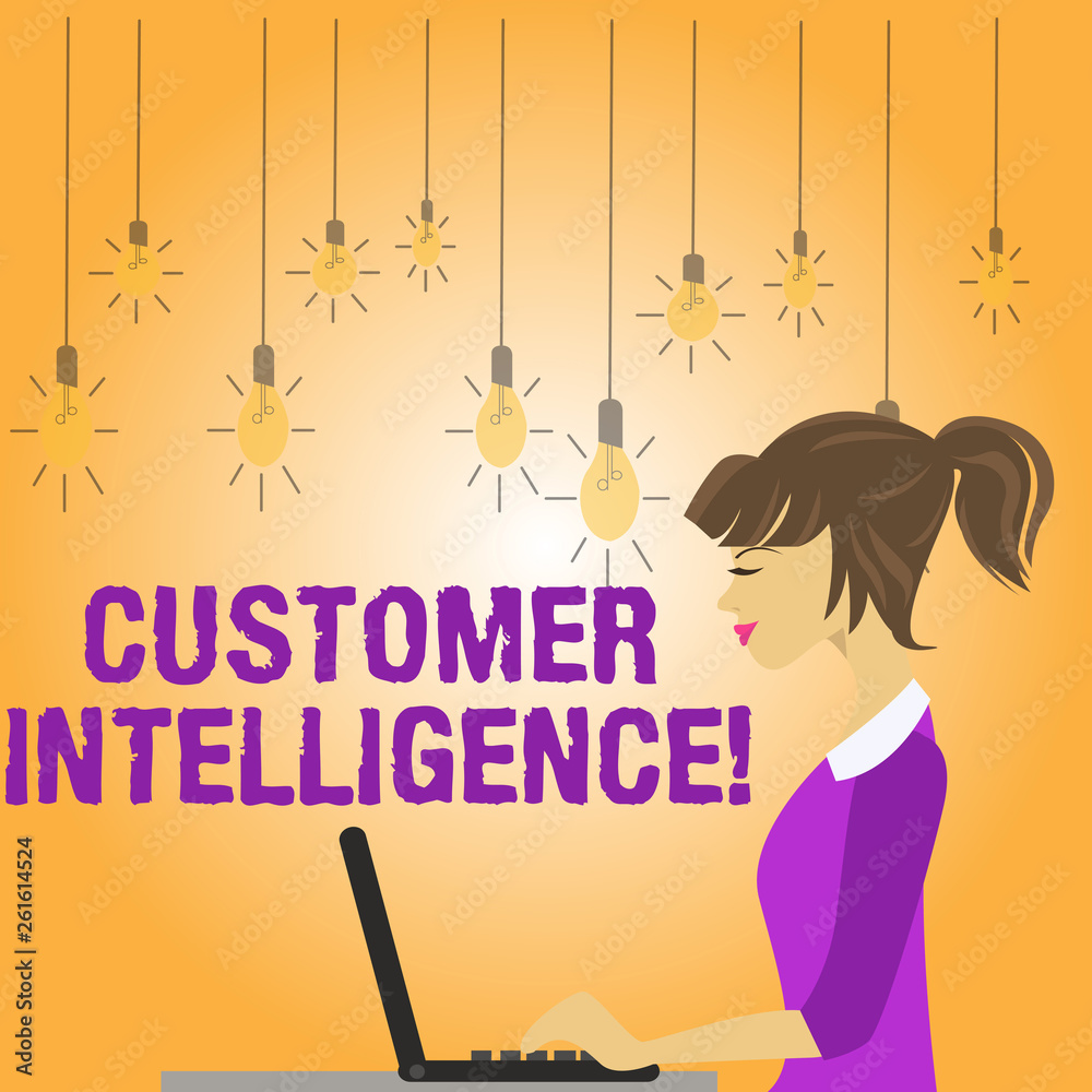 Writing note showing Customer Intelligence. Business concept for process of analyzing information regarding customers photo of Young Busy Woman Sitting Side View and Working on her Laptop