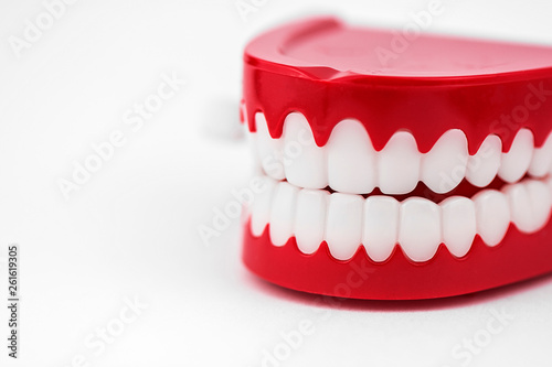 Fototapeta Generic chattering toy teeth close up in a white studio.