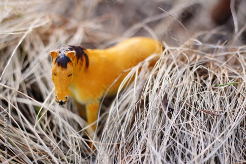 Fototapeta toy horse in nature photographed as real among the dry grass like haystacks